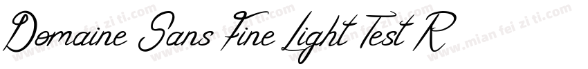 Domaine Sans Fine Light Test Regula字体转换